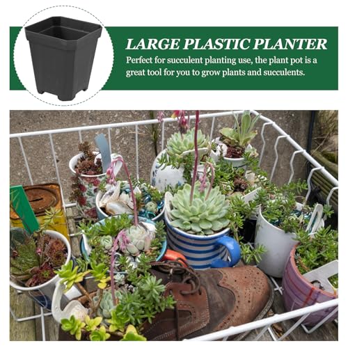 20pcs Small Plastic Succulent Nursery Pots for Plant Propagation - view 3