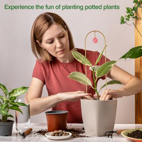 Garden Small Plant Trellis for Climbing Plants Indoor Outdoor - view 4