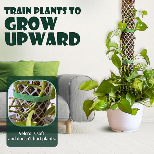 Plastic Moss Poles mesh kit,Plant Poles for Climbing Plants,Plastic Moss Pole Sheets with Different Height,Plant Stakes for Indoor,11.8in×10.8ft Plastic mesh Stackable Works with Sphagnum Moss - view 3