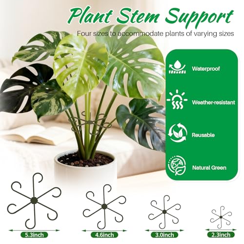 Monstera Plant Support Stakes, 30 Pcs Stackable Plant Support Stakes Sticks Poles for Indoor & Outdoor Plants, Climbing and Potted Plants, Stem Supports, Pothos - view 6