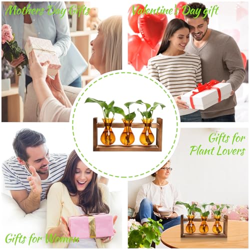 Plant Propagation Station Plant Terrarium Unique Birthday Gifts for Women - view 6