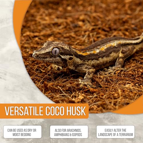 ReptiEarth Reptile Bedding, Fluffy Coconut Fiber Substrate 36 Quart Organic Coco Ready to Use for Bioactive Snake Terrarium, Lizard Tanks with Plants, for Frog, Tarantula or Hermit Crab Habitat (4 Pk) - view 5