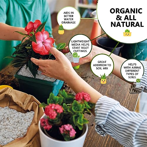 15QT Horticultural Perlite Bulk, Organic Perlite for Plants, Course Perlite for Gardening, for Plants Indoor, for Houseplants, to Promotes Soil Root Growth, and Water Drainage and Plant Growth(3-6mm) - view 2