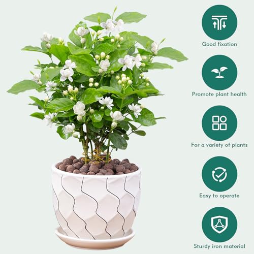 Monstera Plant Support Stakes for Indoor Plants, Gold, 5 Pack - view 3