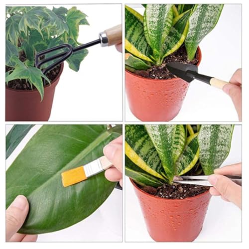 Wooden Succulent Planting Tool Set 10pcs for Indoor Seedlings - view 6