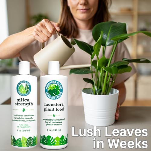 Monstera Growth Power-Duo Bundle – Silica Strength (4.5% Potassium Silicate) + Monstera Plant Food (5-2-3 NPK) | Builds Stronger Stems & Lush Leaves | 2 × 8 oz Concentrates - view 2