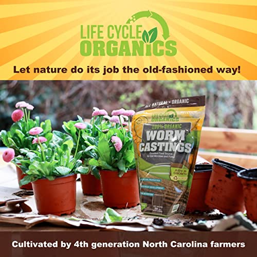 20 oz 100% Organic Worm Castings – Natural Superfood for Plant Growth, Root Development & Growing Healthier, Stronger Crops – Non Toxic & Kind to Soil – Resealable Zip Pouch - view 5