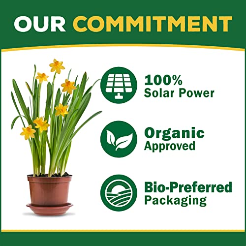 Organic Rose-Tone 4-3-2 Organic Fertilizer for All Types of Roses and Other Flowering Plants. Promotes Vigorous Green Growth and Abundant Blooms. 4 lb. Bag - view 5