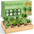 Indoor Herb Garden Kit, Complete Herb Starter Growing Kit with Seeds & Tools, Unique Christmas Birthday Gifts for Women Men Mom Dad, House Warming New Home Kitchen Gifts for Plant Lovers