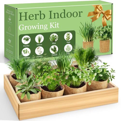 Indoor Herb Garden Kit, Complete Herb Starter Growing Kit with Seeds & Tools, Unique Christmas Birthday Gifts for Women Men Mom Dad, House Warming New Home Kitchen Gifts for Plant Lovers
