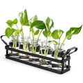 Propagation Stations, 5 Jars Desktop Glass Plant Terrarium with Stand