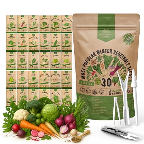 30 Most Popular Winter Vegetable Garden Seeds Variety Pack- Outdoors/Indoor 33,200+ Non-GMO Heirloom Veggie Seeds Broccoli Beet Carrot Cabbage Chives Lettuce Radish Pea Spinach & More