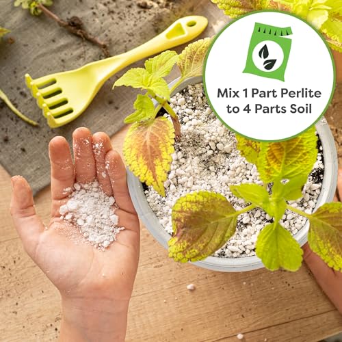 Organic Perlite, 8 qt, Gardening Soil Drainage & Aeration - view 5