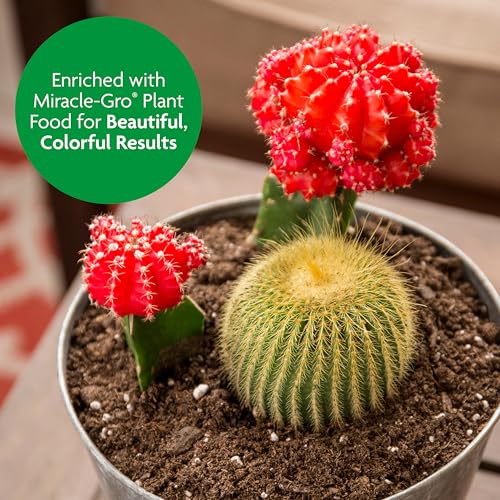 Cactus, Palm & Citrus Potting Mix, 8 qt. - view 5