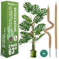2 Pack 63 Inch Bendable Moss Pole Monstera Plant Support Stakes for Indoor Plants - Tall Moss Stick Trellis for Potted Climbers - Stem Support Accessories for Climbing Houseplants