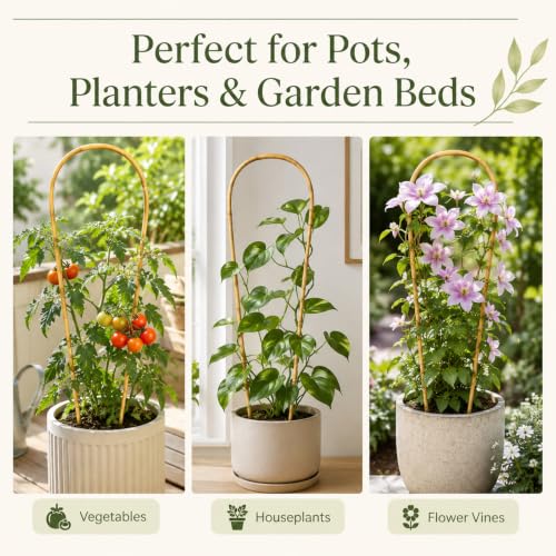 24in Natural Bamboo U-Hoop Trellis for Climbing Plants, 10 PCS - view 7