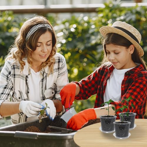 20 Pack 3 Inch Clear Nursery Pots with Drainage and 20 Pack Plant Saucers, Plant Pots for Plants Transparent Potting Containers for Plants Seeding Starter Pot (Clear, 3 Inch) - view 7