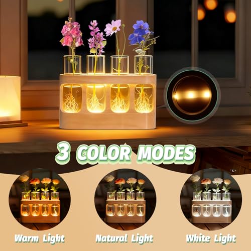 Plant Propagation Station with Wood Stand, 3-Mode 9-Level Adjustable Lights - view 3