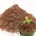 3QT Potting Soil Mix for Indoor Plants - Contains Perlite, Peat Moss, Coco Coir & Rice Charcoal, Natural & Organic Material with Well-Draining, Light & Aerated Texture for Healthy Roots & Fast Growth