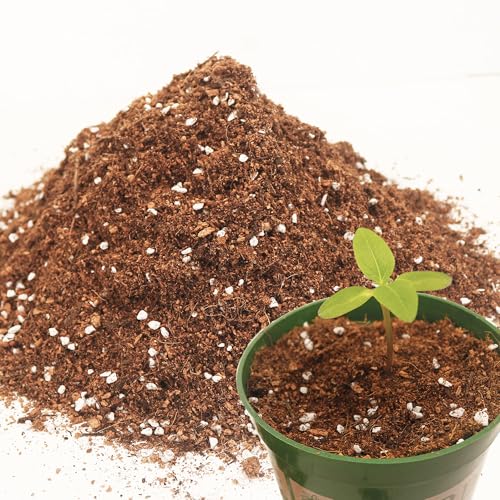 3QT Potting Soil Mix for Indoor Plants - Contains Perlite, Peat Moss, Coco Coir & Rice Charcoal, Natural & Organic Material with Well-Draining, Light & Aerated Texture for Healthy Roots & Fast Growth