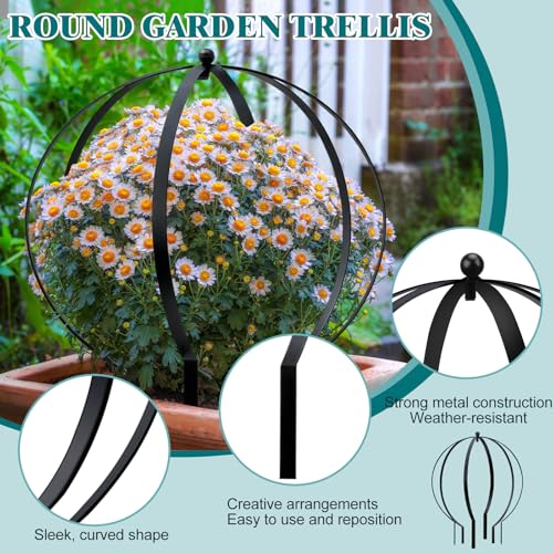 4 PCS Large Metal Round Trellis for Climbing Plants, Heavy Duty Thick Rustproof Obelisk, Garden Sphere Frame for Potted Roses Vines, Outdoor Garden Decor, Easy Assembly (25.2" x 21.3") - view 3