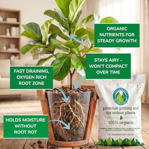 Organic Indoor Plant Soil, Well-Draining Potting Mix, Large 7.5L Bag - view 2