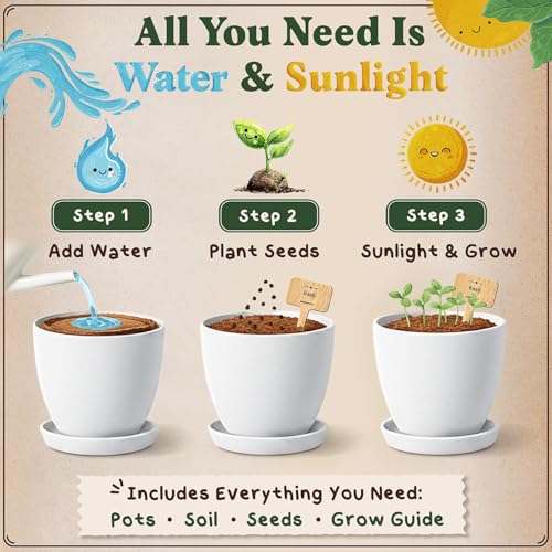 Indoor Herb Garden Starter Kit with 10 USDA Organic Seeds and Pots - view 3