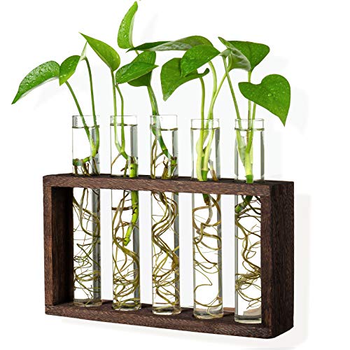 5 Tube Wooden Plant Propagation Station, Tabletop Glass Terrarium Holder for Cuttings Hydroponics, Home Office Desk Decor Gift for Women Mom Plant Lovers, Brown