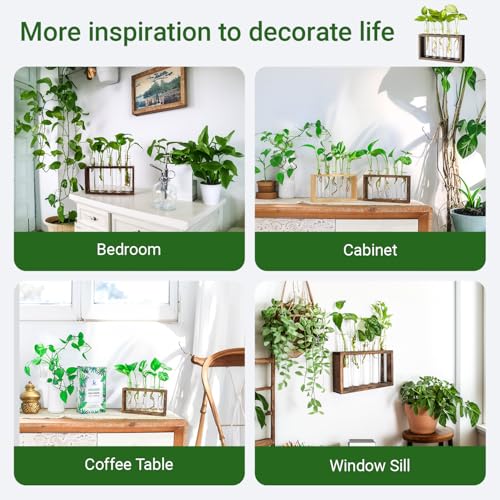 Propagation Station, Plants Terrarium, Plants Lover Gifts for Women,Plant Cutting Holder Home décor,Gifts for Women,House Warming New Home-5 Tubes-Brown - view 5