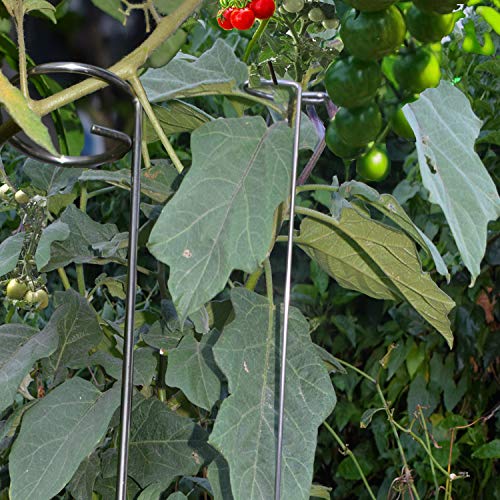 30 Inch Or 16 InchPlant Stakes for Flowers - 5 Pack, Adjustable Height - view 6
