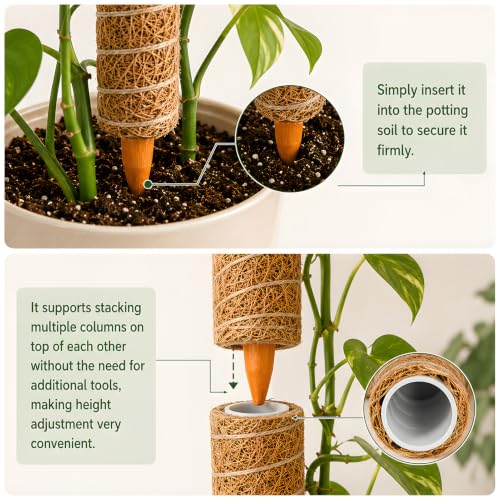 4 Pcs 15in Stackable Support，Moss Poles for Climbing Plants - view 6
