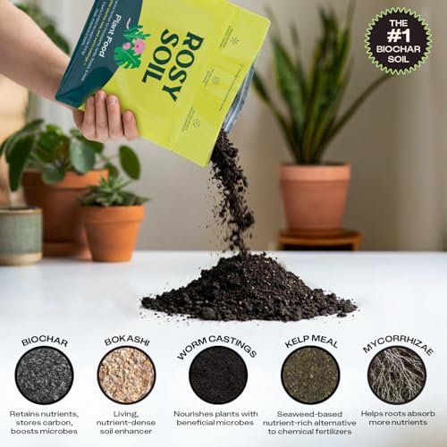 Plant Food, Organic Fertilizer for Indoor Plants, 4 Quarts - view 5