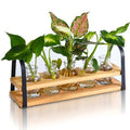 Plant Propagation Station with Wood Stand, Desktop Terrarium for Hydroponic, Flower Vase for Home, Kitchen, Office Decor, Plants Lover Gifts