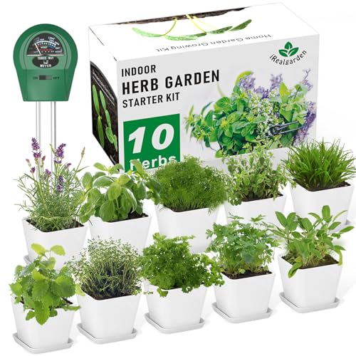 Indoor Herb Garden Kit – 10 Non-GMO Herb Seeds with Soil, Pots & Moisture Meter – Easy Windowsill Gardening Starter Set – Unique Gift for Gardeners, Home Chefs & Families