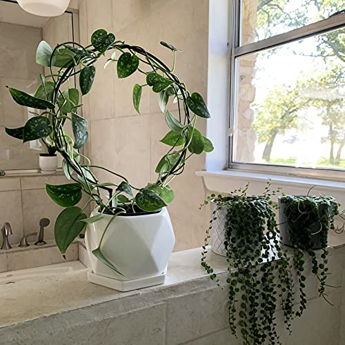 10 Pcs Circle Indoor Plant Trellis for Potted Plants - view 7