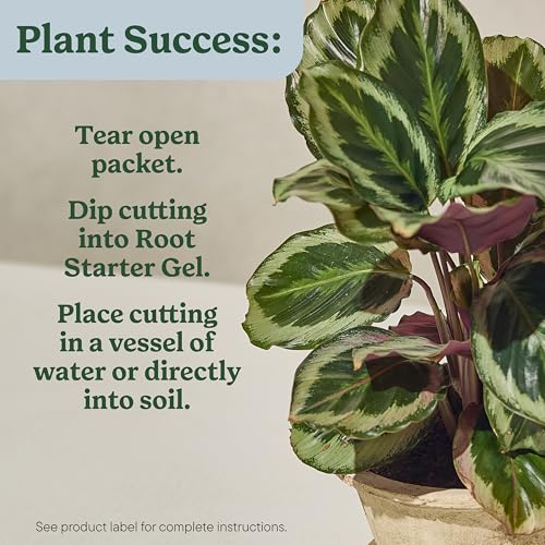Plant Care Root Starter Gel (2-Pack) - view 5