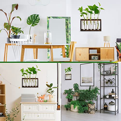 5Test Tube Plant Propagation Station Plant Terrarium Wooden Stand - view 5