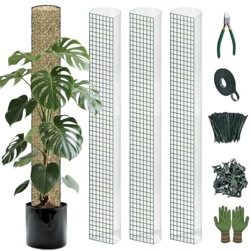 Metal Moss Poles for Climbing Plants, D-Shape Sphagnum Moss Pole Monstera Plant Support for Climbing Plants, DIY Plant Stakes Work with Sphagnum Moss (12ft D-Shaped Clear)