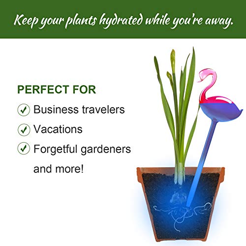 Self Watering Globes 2 Pack Glass Plant Waterer Flamingo Pink 10in - view 4