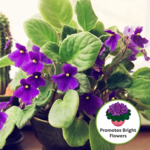 African Violet Potting Soil, 8 qt, Organic Mix - view 2