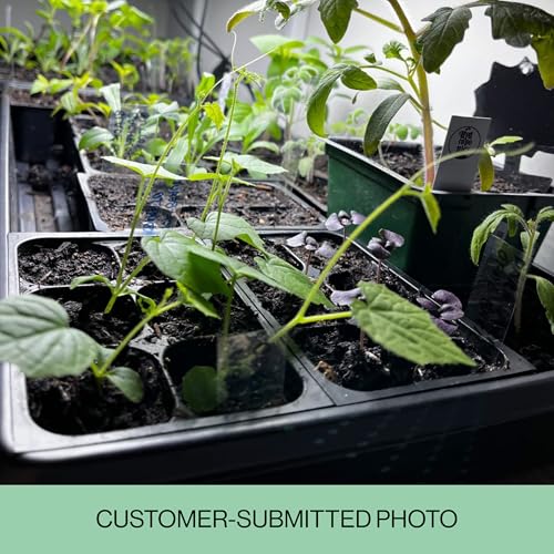 Seed Starter Trays, 144 Cells (24 Trays - 6 Cells Per Tray) + Plant Stakes - view 5