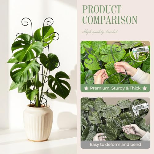 4 Pack 30 Inch Tall Metal Plant Trellis for Climbing Plants Indoor - Rustproof Garden Trellis for Potted Houseplants, Sturdy Support for Ivy, Pothos, Monstera, Hoya & Flower Vines - view 4
