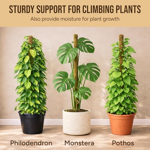 29" Moss Pole Monstera Plant Support, Indoor Plant Stakes - view 5