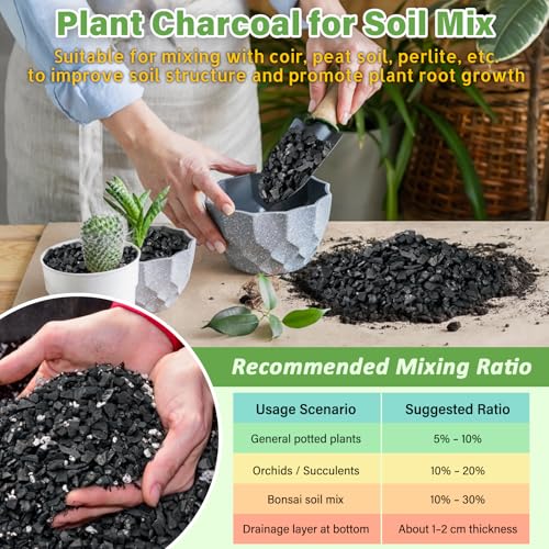 2 QT Horticultural Charcoal- Natural Biochar Soil Amendment - view 5