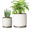 Beaded Ceramic Planter Pots, 4/6 in, Smoked White, 27-D-U-1