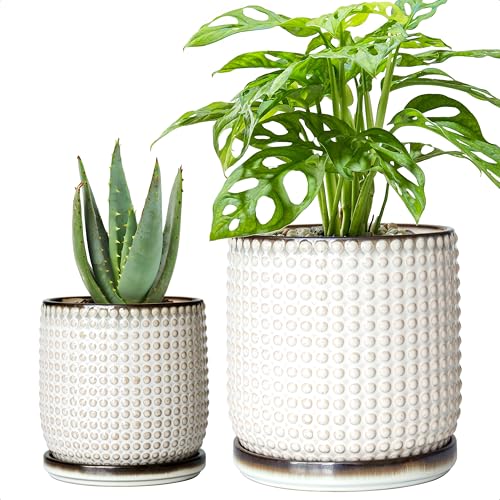 Beaded Ceramic Planter Pots, 4/6 in, Smoked White, 27-D-U-1