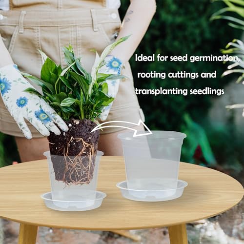 20 Pack 3 Inch Clear Nursery Pots with Drainage and 20 Pack Plant Saucers, Plant Pots for Plants Transparent Potting Containers for Plants Seeding Starter Pot (Clear, 3 Inch) - view 3