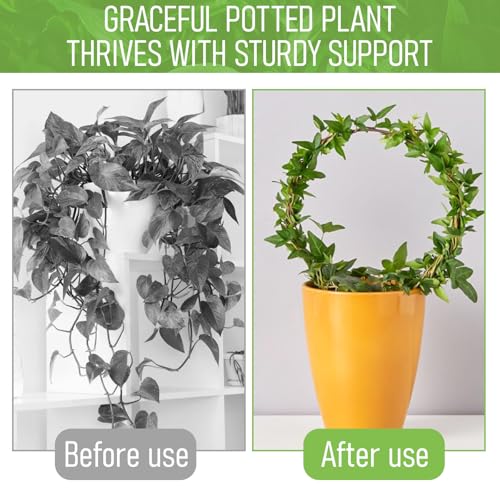 2 Pack Round Plant Trellis for Indoor Potted Plants, Acrylic Small Trellis for Climbing Plants Indoor Outdoor Plant Support for Hoya Pothos Vine Ivy Monstera Flower Philodendrons Dischidia - view 4