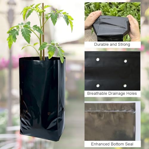 1/4 Gallon 100 Pcs Thicken Seedling Nursery Bags, 3.9" x 6.1" Deep Plastic Grow Bags with Drainage Holes, Heavy Duty Plant Starter Pots for Vegetables, Flowers, Succulents and Cuttings - view 3
