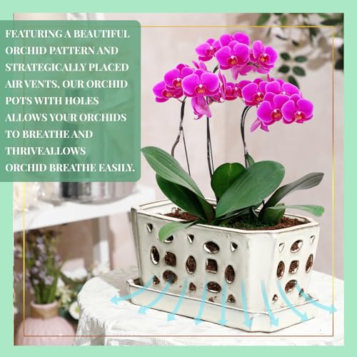9.5" Orchid Pot Ceramic with Hole Saucer for Repotting, White - view 4